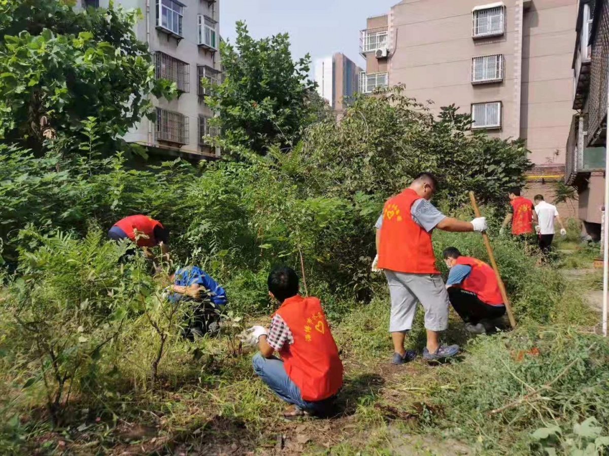 組織開展“雙報到”社區(qū)志愿服務活動 (3) 組織開展“雙報到”社區(qū)志愿服務活動 (3)